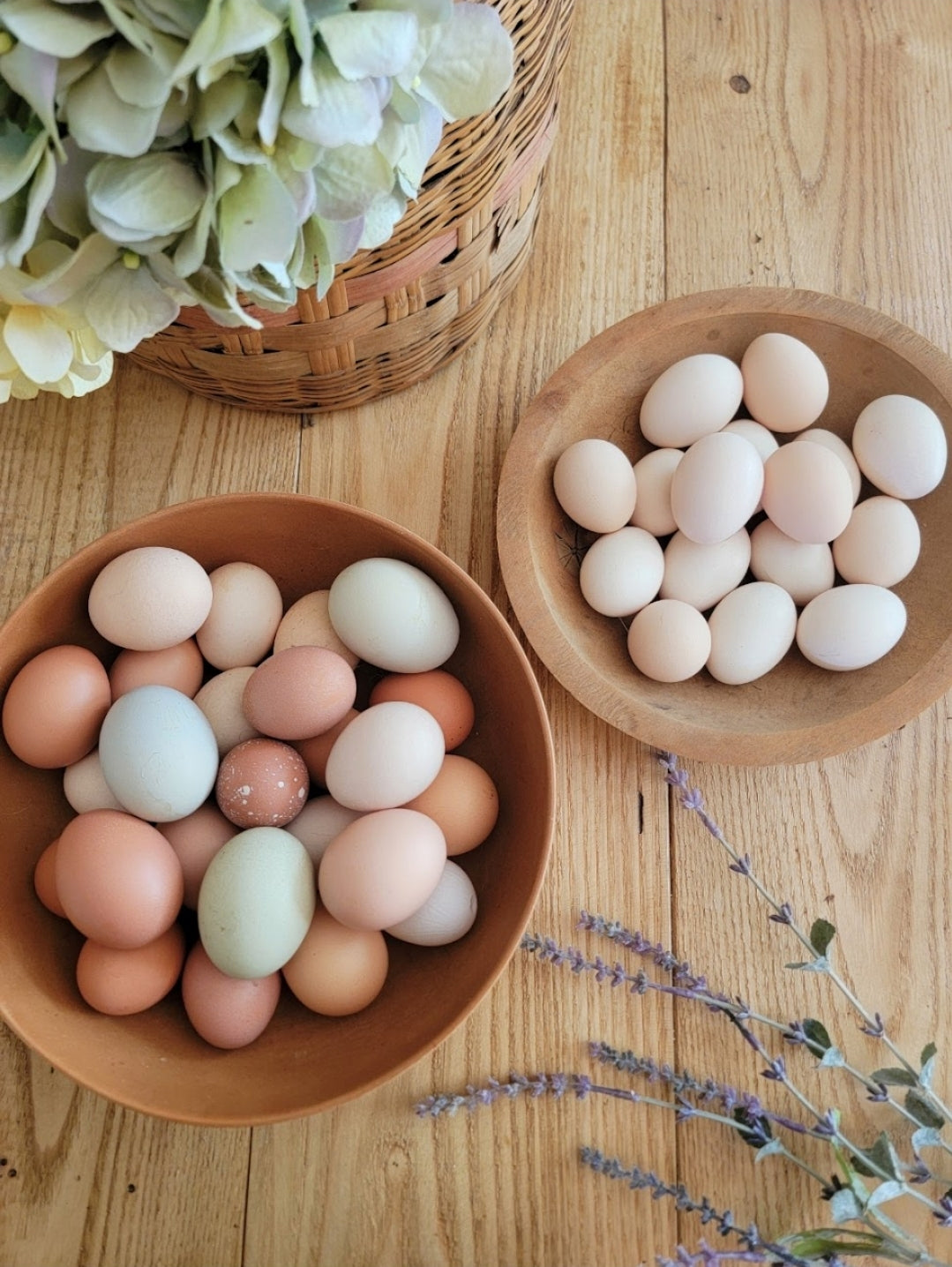 Fresh chicken eggs (dozen)
