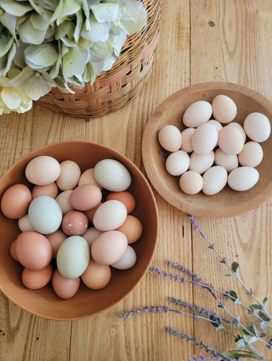 Fresh chicken eggs (dozen)