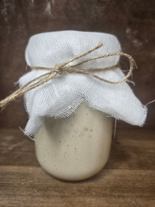Active sourdough starter